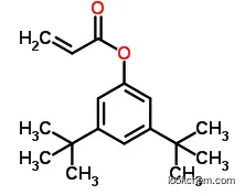 Molecular Structure of 1223748-25-1 (3,5-di-tert-butylphenyl acrylate)